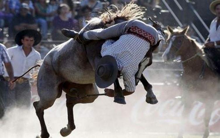 Otro campo de la doma se tiñó de luto 
