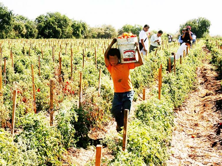 Primera condena del país por trabajo infantil en Santa Fe