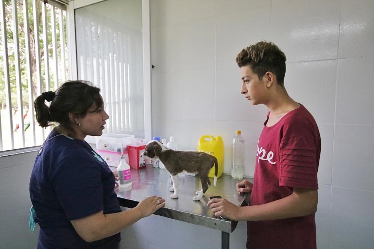 Casa de las Mascotas, con récord de atenciones en 2018