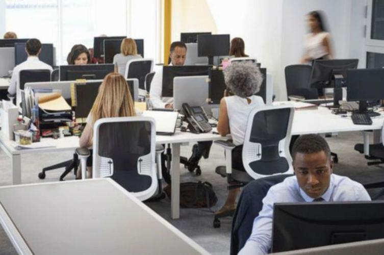 La exitosa empresa que solo contrata a empleados autistas