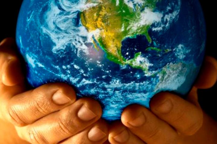 El ser humano modificó el 95 % del planeta