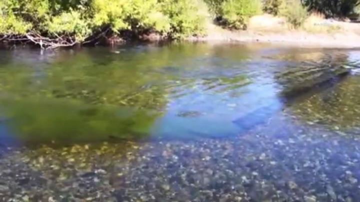 Contaminan sin piedad una “maravilla natural” del sur del país 