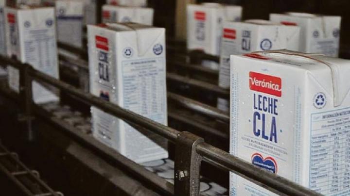 Láctea Verónica en crisis y peligran 600 empleos
