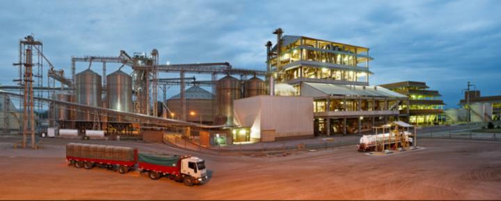 La aceitera Viluco despidió a 117 empleados