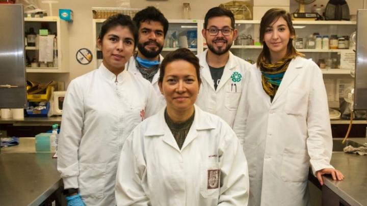Científica consigue eliminar al 100% el virus del papiloma humano