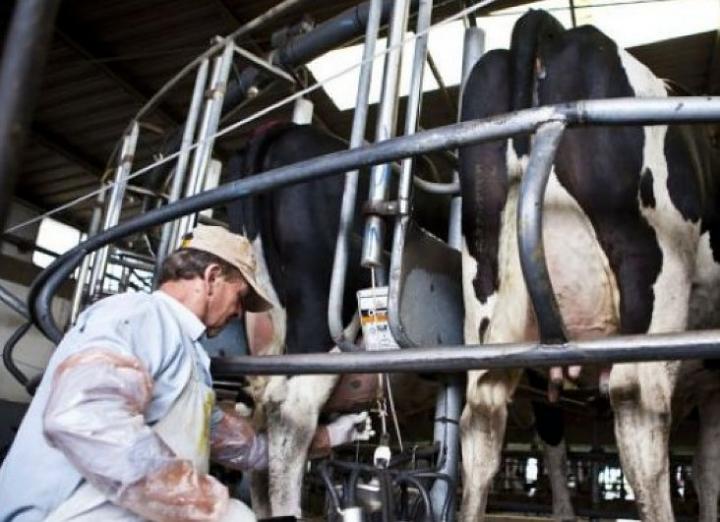 La devaluación nuevamente le pega a los tambos