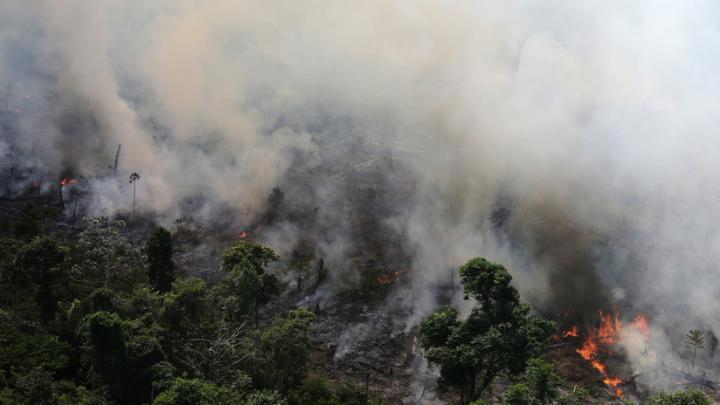 Amazonas: la influencia humana en el sistema climático