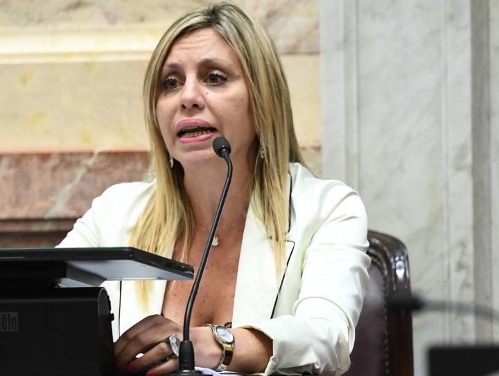 Sacnun pidió por la situación financiera de la Ansés