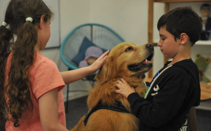 Titán, el perro que acompaña a niños a declarar