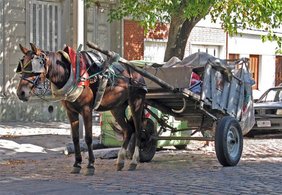 ¿Adiós a los carros en las calles de Santa Fe?