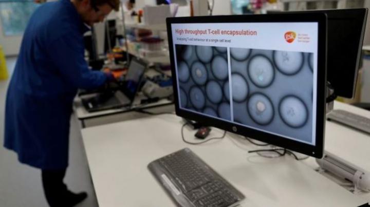 Descubrieron la causa de la metástasis