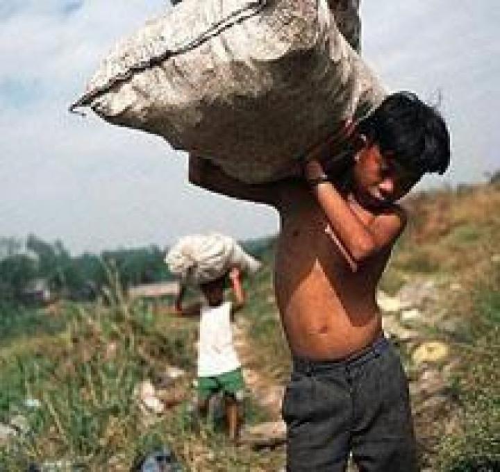 Afirman que 6000 chicos santiagueños trabajan como esclavos 