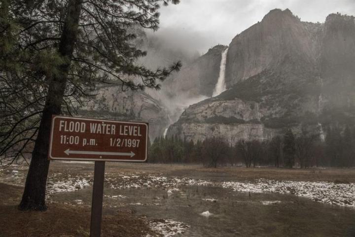 Los osos se cuadruplicaron en Yosemite