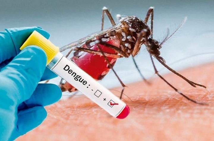 Dengue: Santa Fe confirmó 2532 casos positivos