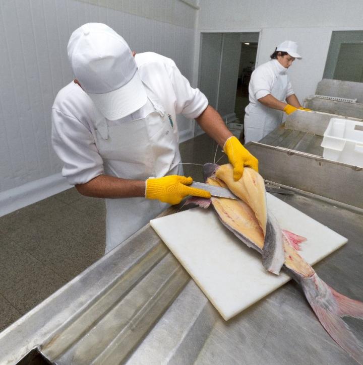 Frigoríficos de Santa Fe: “La veda pesquera es innecesaria” 