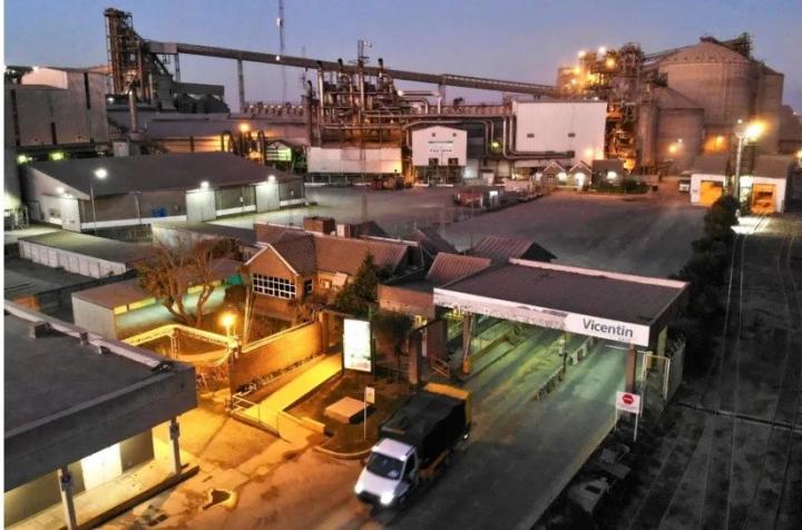 Una accionista de Vicentín donó 5 inmuebles a sus hijos