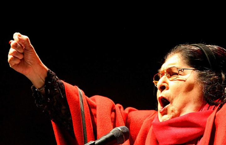 El homenaje de Santa Fe a Mercedes Sosa