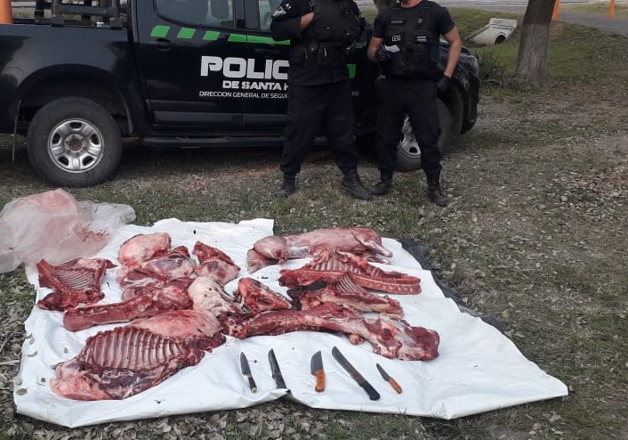 Cuatro imputados por caza ilegal