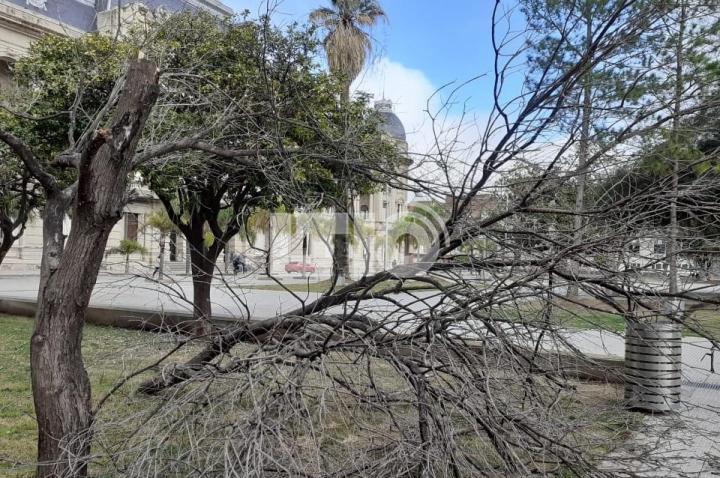 Plaza 25 de Mayo: sin limpieza y sin luz