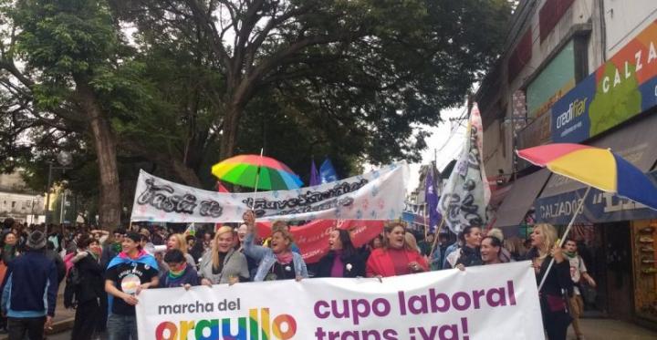 Perotti reglamentó el cupo laboral travesti trans 