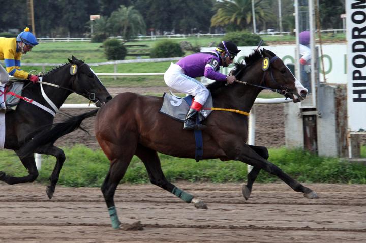 Nación habilitó la actividad hípica en Santa Fe