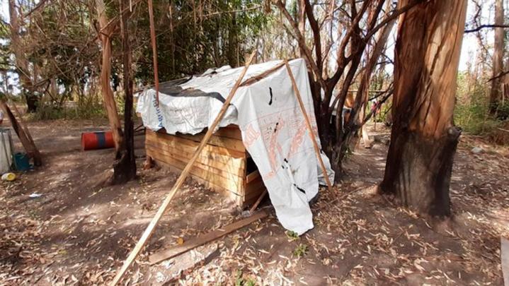 Explotación y trata de personas en campos de Argentina