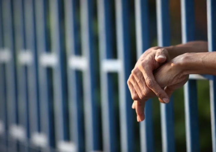 Sugieren no encarcelar para evitar la superpoblación