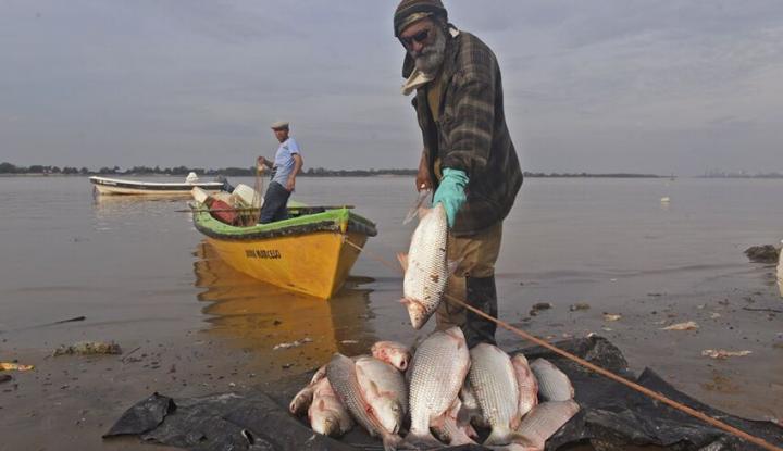 Santa Fe: sigue la veda para la pesca comercial