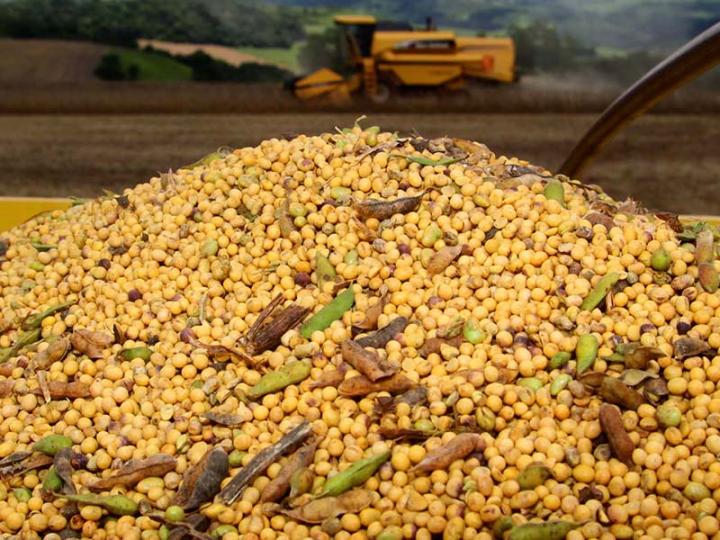 Suspenden a cerealera por esconder USD 70 millones 