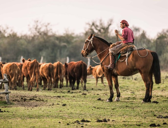 Trabajadores rurales: aumento salarial del 48,6%