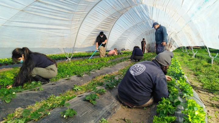 UNL: la Escuela Granja abre la preinscripción para el ingreso 2022