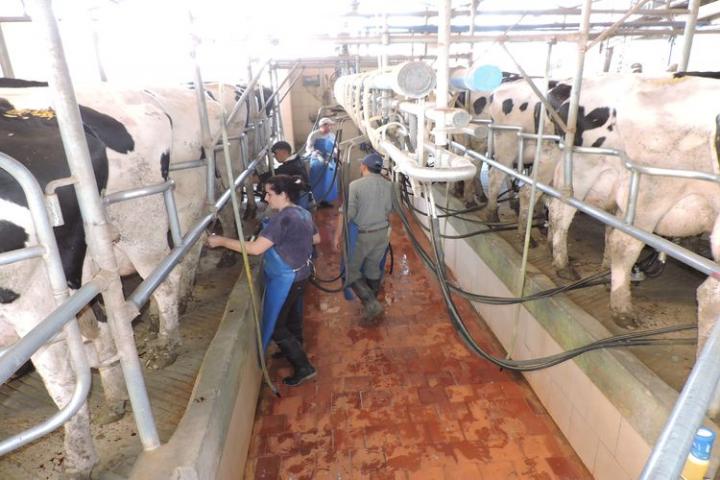 $ 1,5 millones para tamberos del norte santafesino