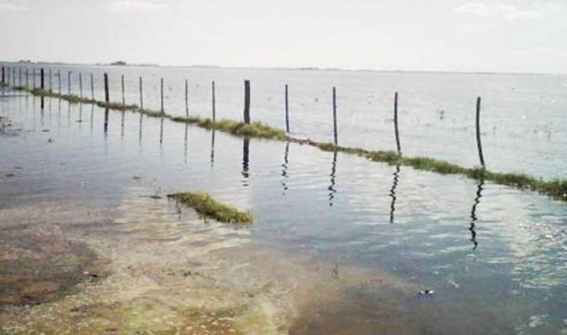 Declaran la emergencia agropecuaria en Santa Fe