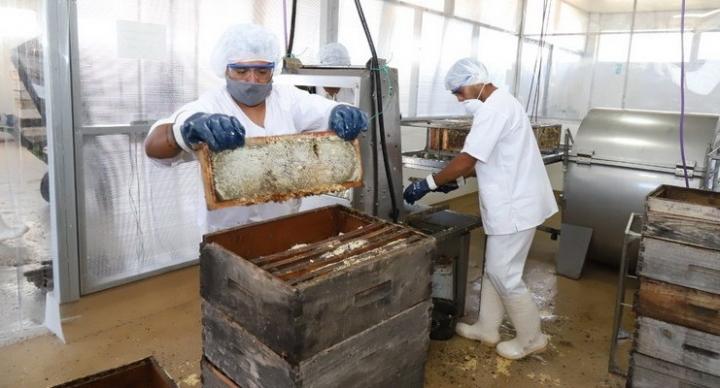 Ambrosetti se consolida como “la comuna de la miel”