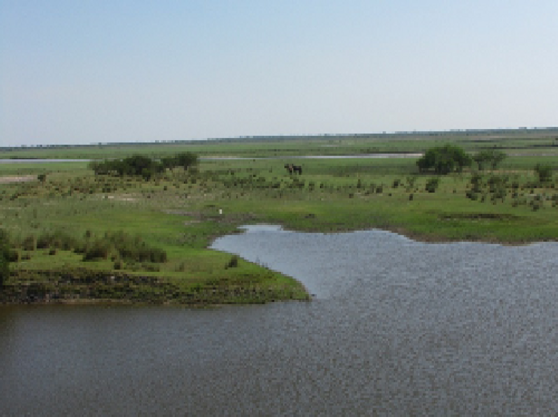 Economía Ecológica: una nueva mirada a los Bajos Submeridionales