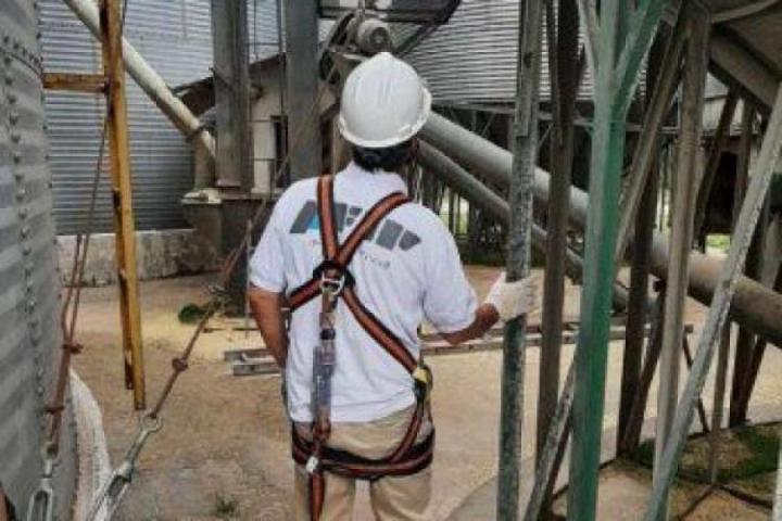 Granos: frenan una evasión con más de 1600 toneladas