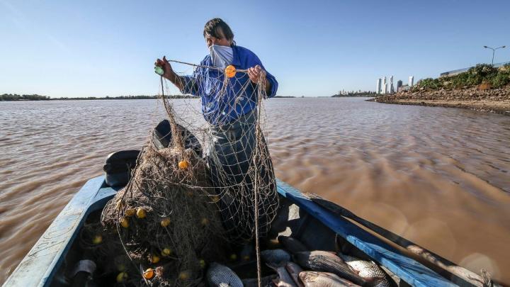 Santa Fe paga la ayuda económica a 4000 pescadores