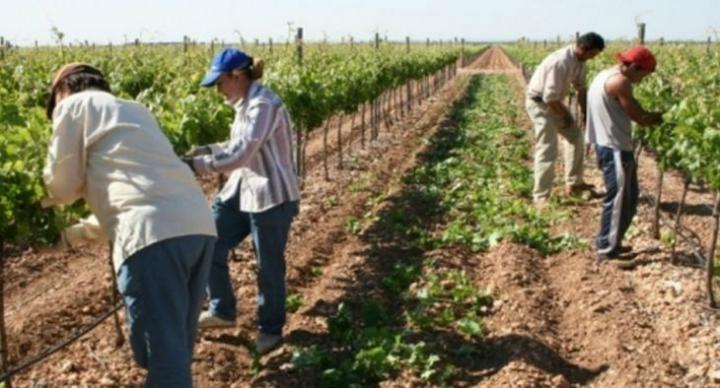 Trabajadores rurales tendrán un bono de $ 20.000