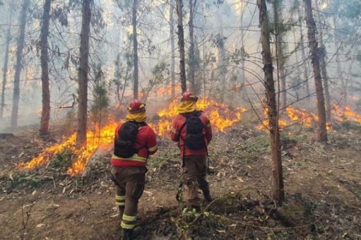 Declaran el estado de emergencia ígnea en todo el país