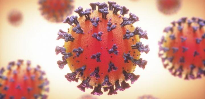 Alerta mundial: llegó Flurona, el covid con  influenza