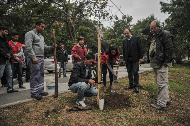 El municipio plantará 10 mil árboles en la capital