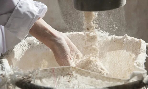 El gobierno aplicó millonarias multas a molineras 