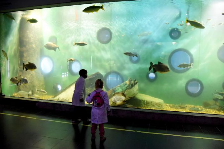 Todos los caminos conducen al Acuario del río Paraná