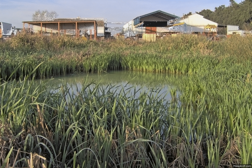 Santa Fe, sede de la Conferencia Panamericana de Sistemas de Humedales