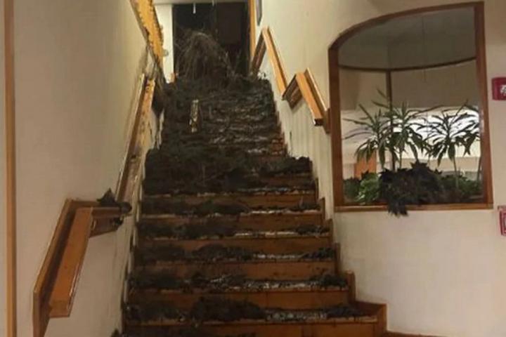 Alud en Bariloche: un muerto y tres heridos