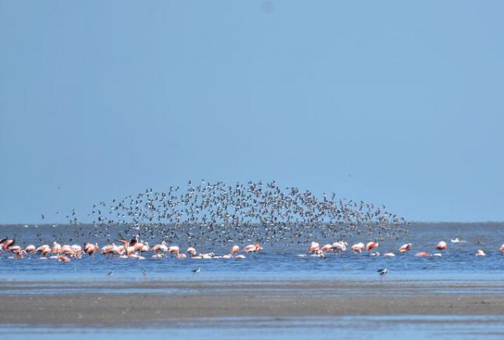 Celebran la creación del Parque y Reserva Nacional Ansenuza