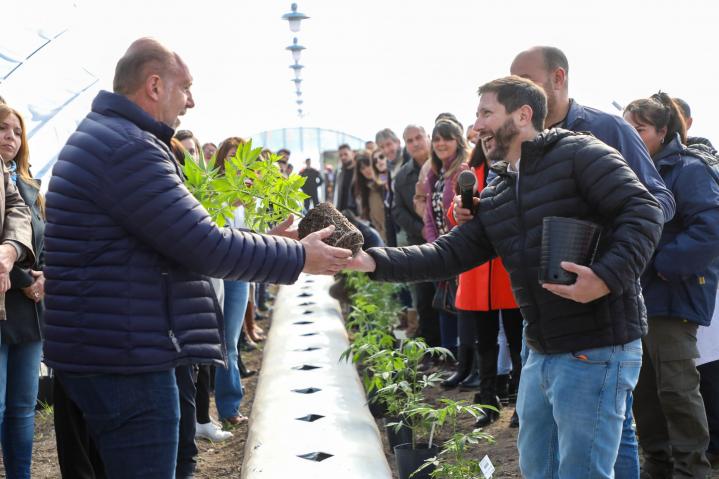 Santa Fe inicio el cultivo de cannabis medicinal 