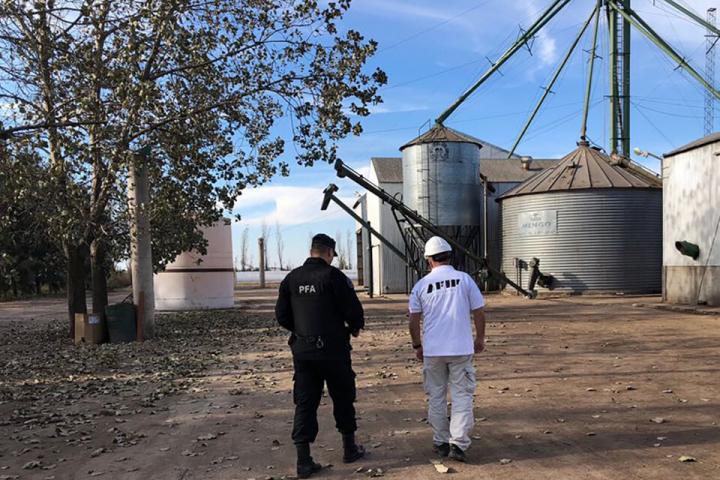 Detectan 2.700 hectáreas cultivadas no declaradas por productores