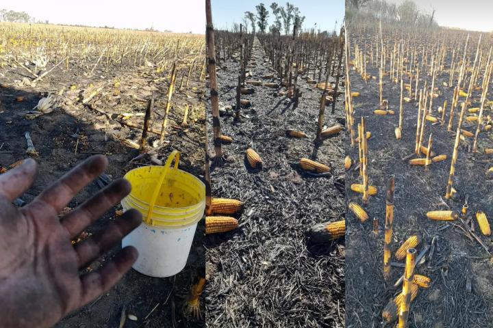 Le quemaron el campo a un productor santafesino