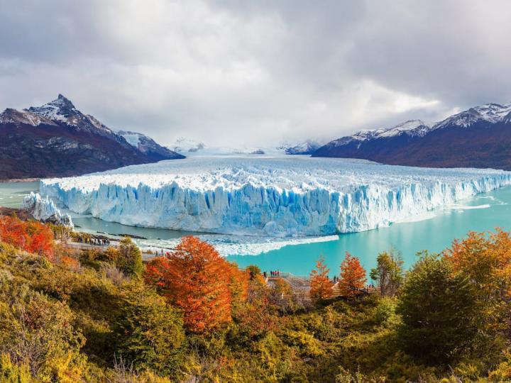 Un bosque patagónico es uno de los más bellos del mundo
